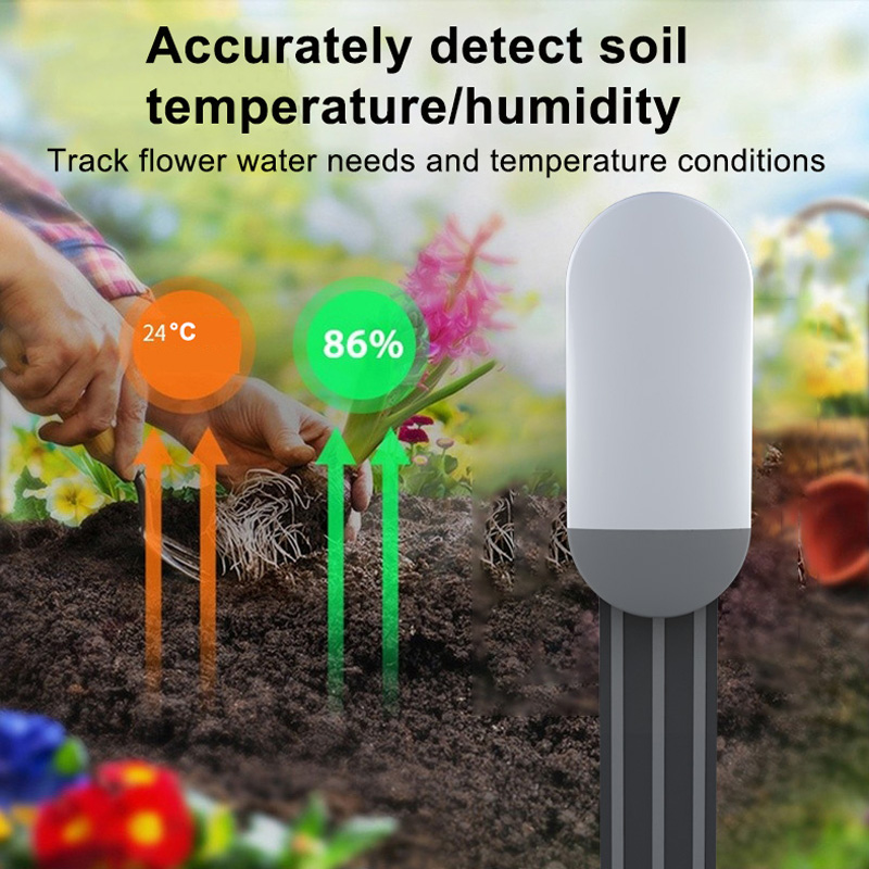 Capteur de sol ZigBee 3.0, dét - Zigbee Temperature Humidity Sensor avis et prix