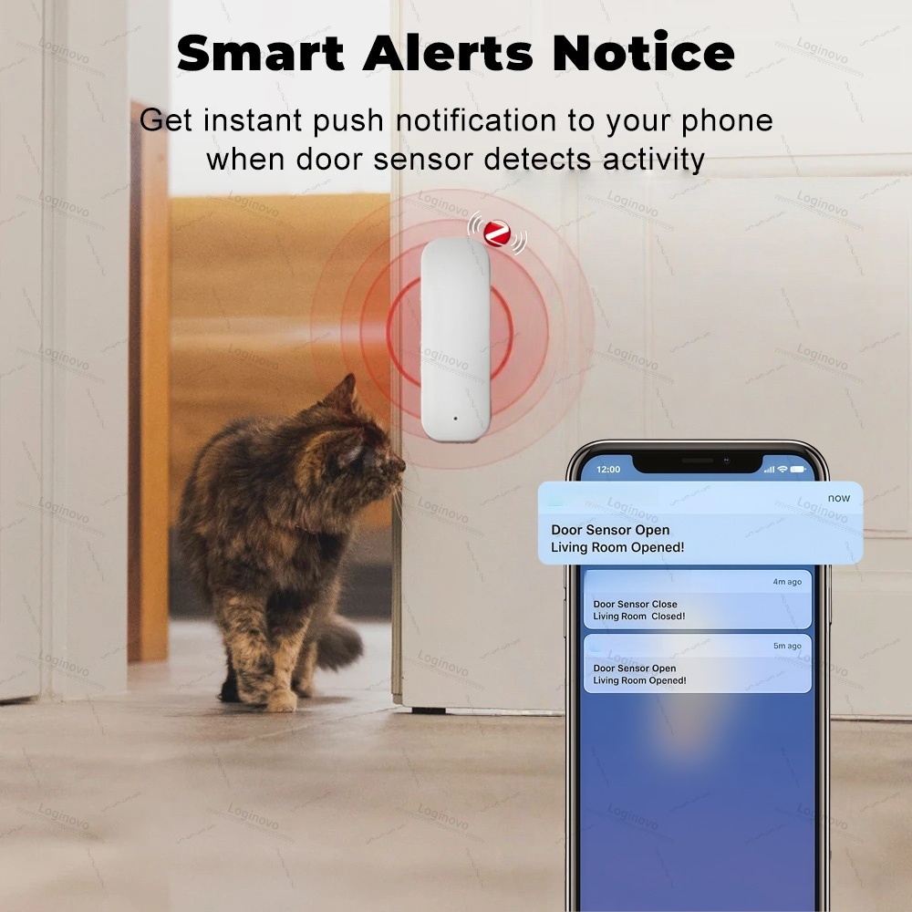 Tuya Zigbee – capteur de porte - Zigbee Door Window Sensor avis et prix