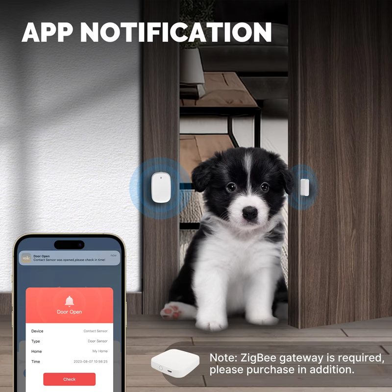 Détecteur de porte/fenêtre int - Zigbee Door Window Sensor avis et prix