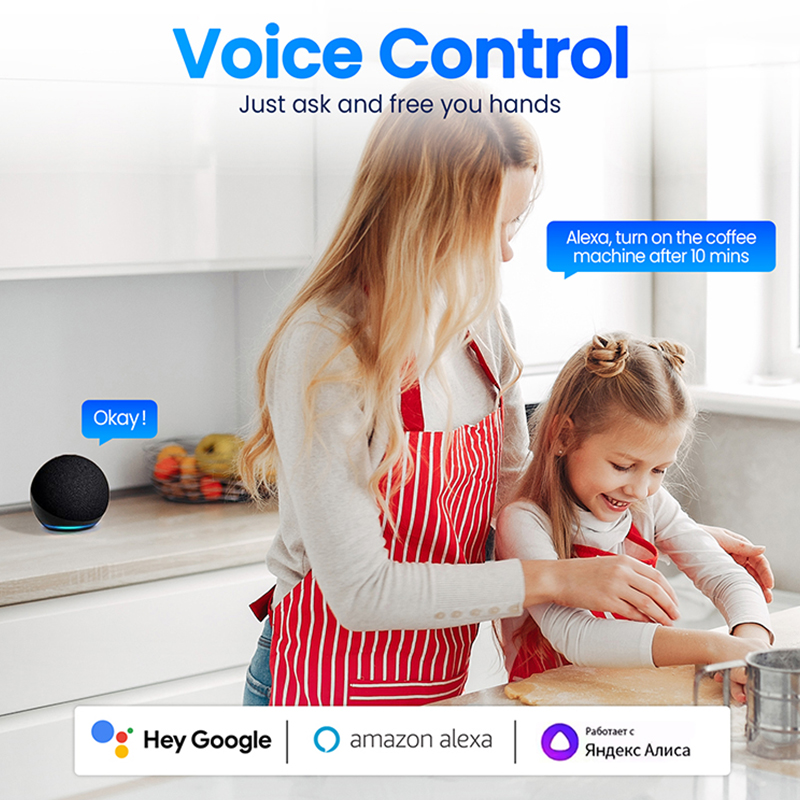Prise intelligente Zigbee stan - Zigbee Smart Plug Energy Monitor avis et prix
